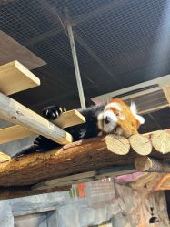 -Zoolung Zoolung动物主题公园(海信广场店)