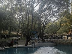 -东明山森林公园
