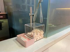 -狐狸和向日葵(北京路店)