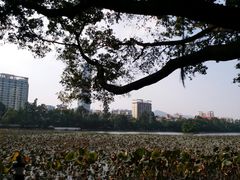 -人民公园(罗湖区)