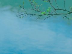 -南京市无想山景区