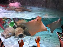 -沈阳海洋探索中心