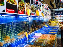 水产区-必点海鲜·鲅鱼水饺(鞍山西道店)