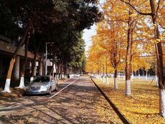 -四川大学(江安校区)