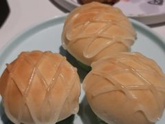 -新兴·金羊座·粤菜点心(乐峰店)