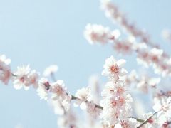 -海底捞火锅(泉城路店)