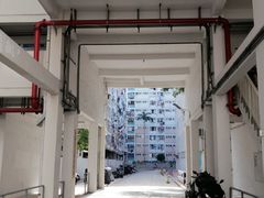 -彩虹村