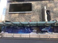 -上海柏悦酒店