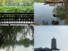 -长兴太湖图影湿地文化园