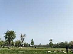 -汉长安城未央宫国家考古遗址公园