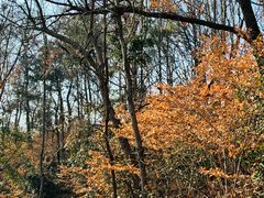 -南京市无想山景区