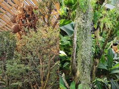 -海南热带野生动植物园