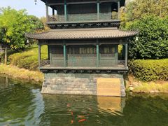 -巴陵全鱼席(湖南老字号汴河街店 )