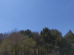 -哈尔滨北方森林动物园