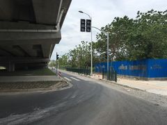 -南汇新场正宗水蜜桃采摘