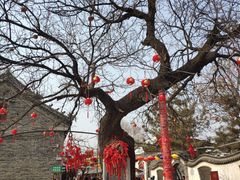 -杨家埠民间艺术大观园