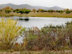 -塞罕坝国家级自然保护区