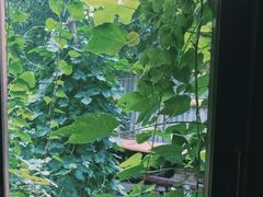 -斯多格书乡(北京大学畅春园店)