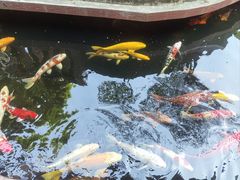 -侠成水上农庄(工业大道店)