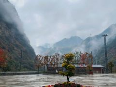 -少华山国家森林公园