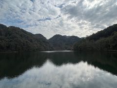 -江西阳明山国家森林公园