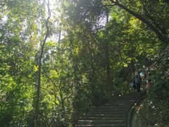 -火炉山森林公园