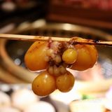 魔都探店｜上海萌妹子最多的猫猫烤肉店