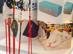 -Hopo Snow 城市滑雪空间(滨江宝龙城店)