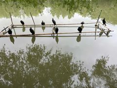 -长兴太湖图影湿地文化园
