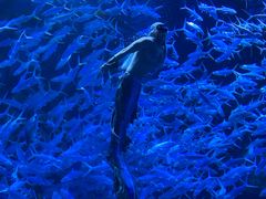 -波塞冬旅游度假区