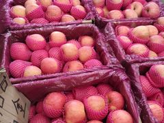 -堤口果品批发市场