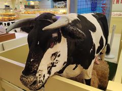 -红星前进面包牛奶公司(君太店)