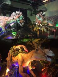 -恐龙探索乐园(磁器口店)