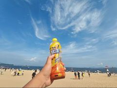 -大梅沙海滨公园