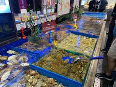 水产区-船歌·鱼水饺青岛菜(闽江二路店)