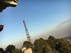 -水濂山森林公园