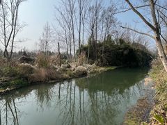 -桤木河湿地公园