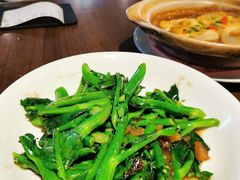 生炒芥兰苗-新旺茶餐厅(嘉里城店)
