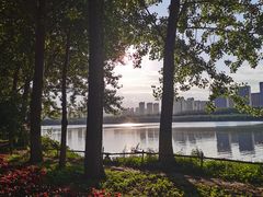 -长白岛森林公园