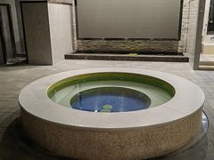 -碧中海汤泉汗蒸酒店