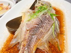 清蒸东星斑-徐记海鲜·家宴(南油永新汇店)