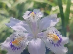 -杭州植物园