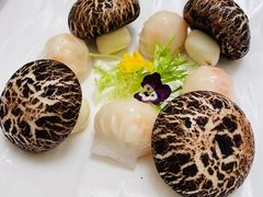 -BLACKSWAN黑天鹅(环球店)