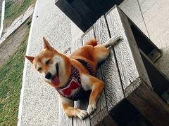 -驳二艺术特区