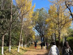 -城市运动公园(未央区)