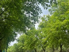 -北京师范大学(珠海校区)