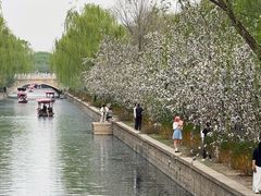 -元大都城垣遗址公园