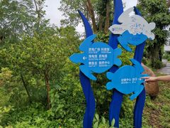 -广东惠东海龟国家级自然保护区