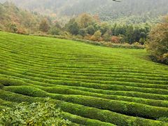 -敬亭山风景名胜区