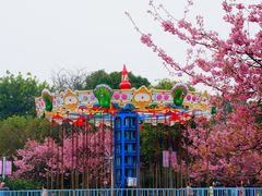 -南山植物园